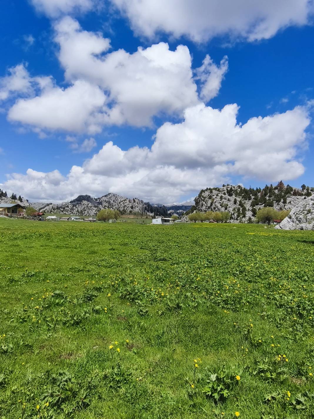 Konya’nın ünlü yaylasında baharın renkli yüzü çıktı 8